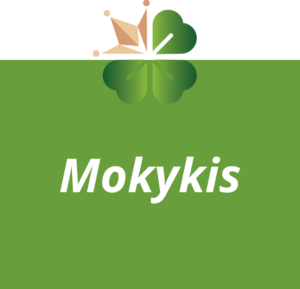 Mokykis